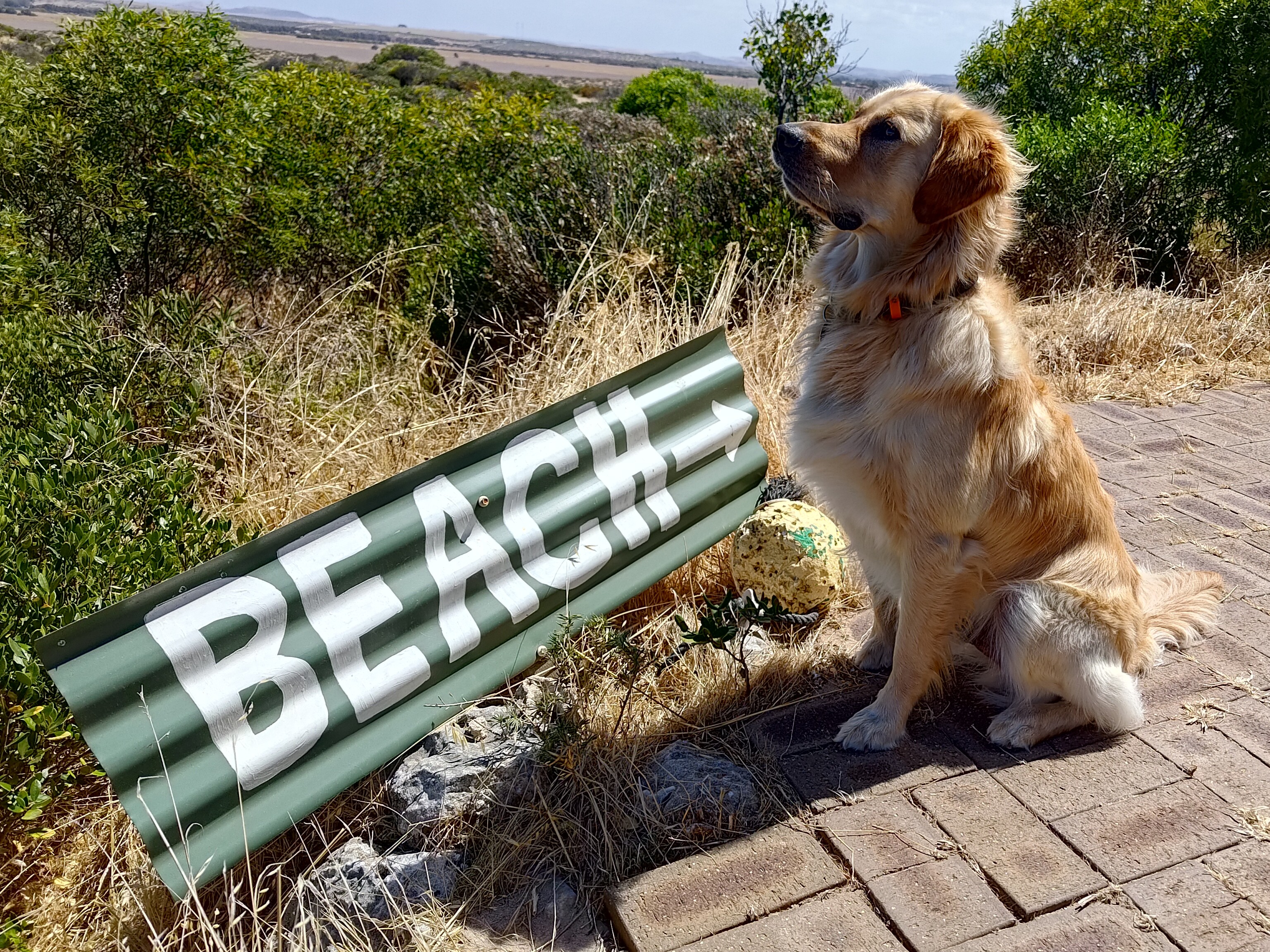 His job is just beach.